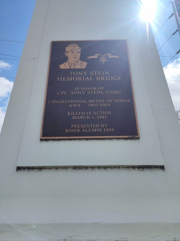 Tony Stein Memorial Bridge Marker. Click for full size. Tony Stein Memorial Bridge Marker image. Click for full size.