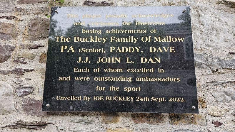 The Buckley Family Of Mallow Marker image. Click for full size.