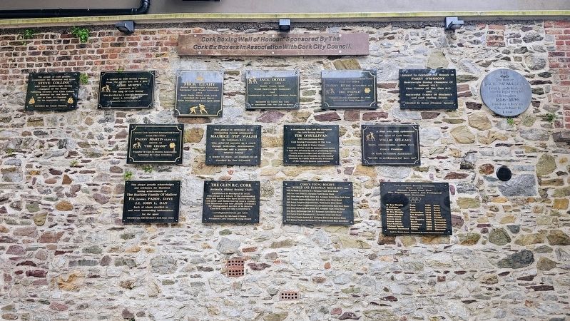 The Buckley Family Of Mallow Marker image. Click for full size.