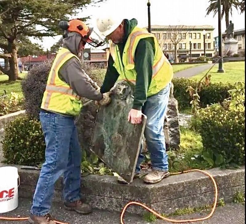Plaque Removal. Click for full size. Plaque Removal image. Click for full size.