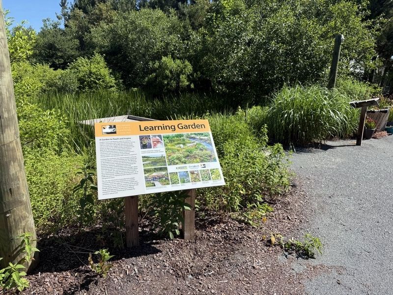 Learning Garden Marker Near Its Namesake image. Click for full size.