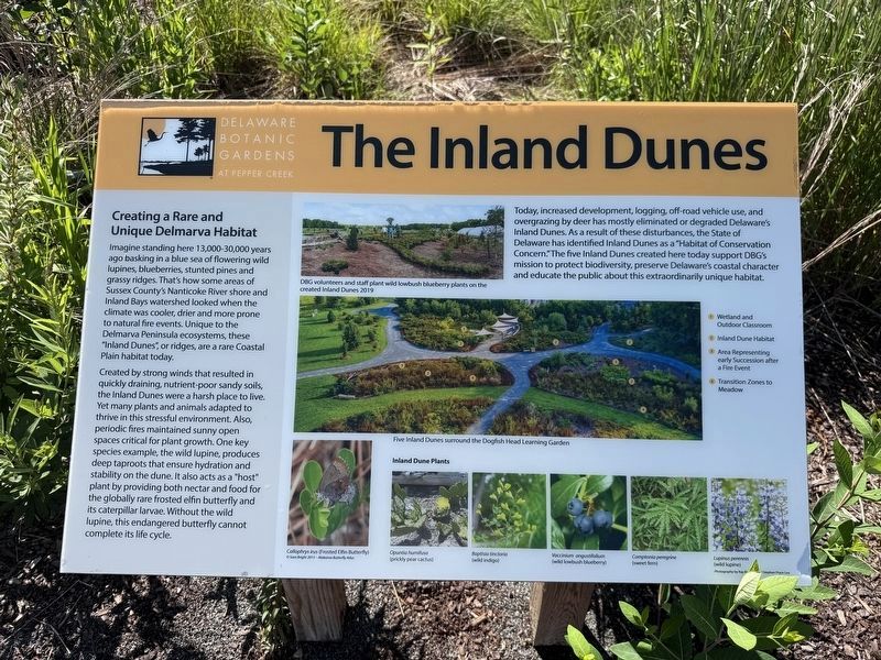 The Inland Dunes Marker image. Click for full size.