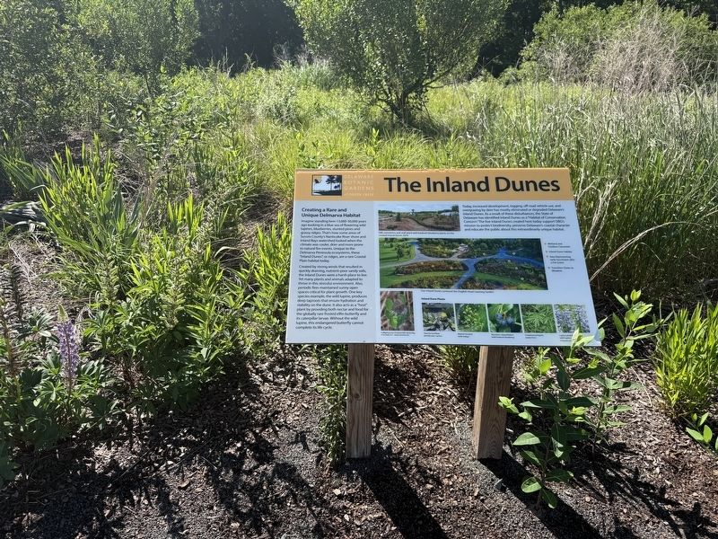 The Inland Dunes Marker image. Click for full size.