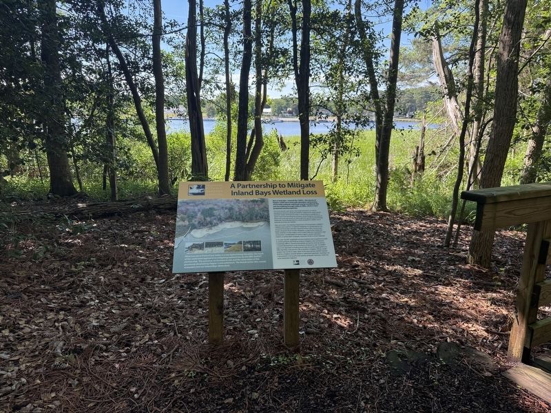 A Partnership to Mitigate Inland Bays Wetland Loss Marker. Click for full size. A Partnership to Mitigate Inland Bays Wetland Loss Marker image. Click for full size.