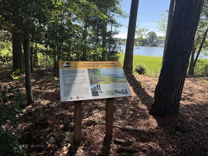 Restoring Tidal Wetlands with Living Shorelines�an Edge at a Time Marker image. Click for full size.