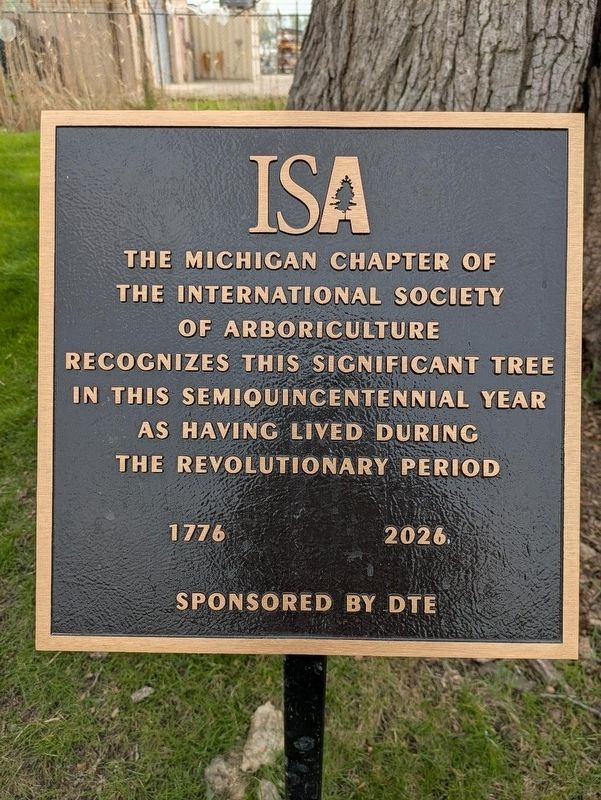 Semiquincentennial Tree Marker. Click for full size. Semiquincentennial Tree Marker image. Click for full size.