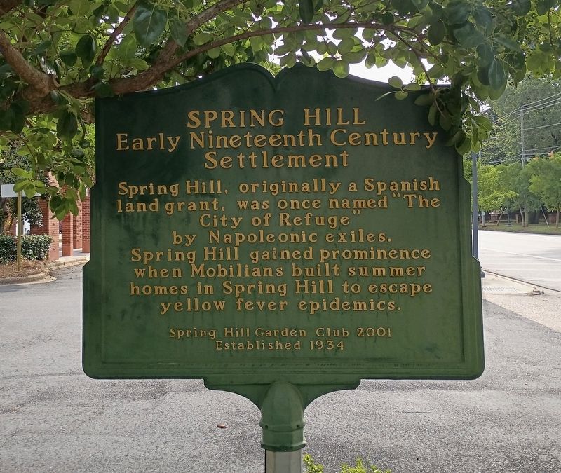 View of the West facing side of the Spring Hill Marker image. Click for full size.