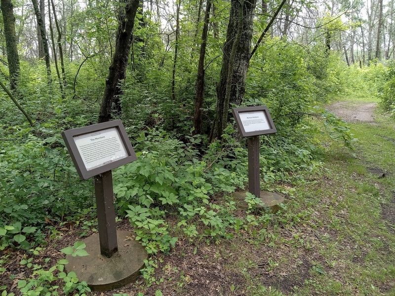 The Morrisons marker (left) and house site in Crow Wing State Park. Click for full size. The Morrisons marker (left) and house site in Crow Wing State Park image. Click for full size.