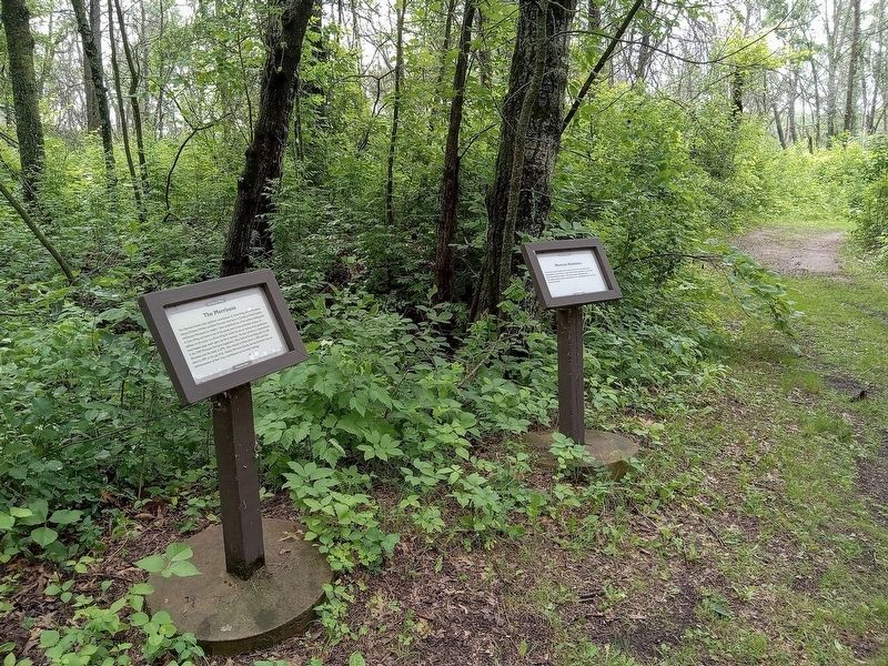 Morrison Residence marker (right) and house site in Crow Wing State Park image. Click for full size.