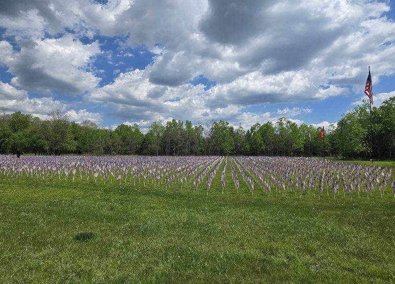Field of Heroes Flag Display image. Click for full size.