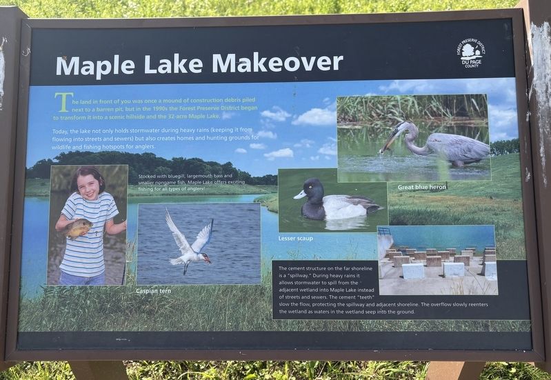 Maple Lake Makeover Marker image. Click for full size.