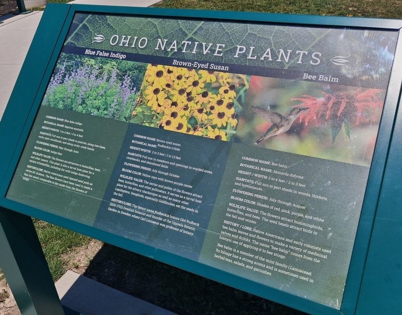 Ohio Native Plants Marker image. Click for full size.
