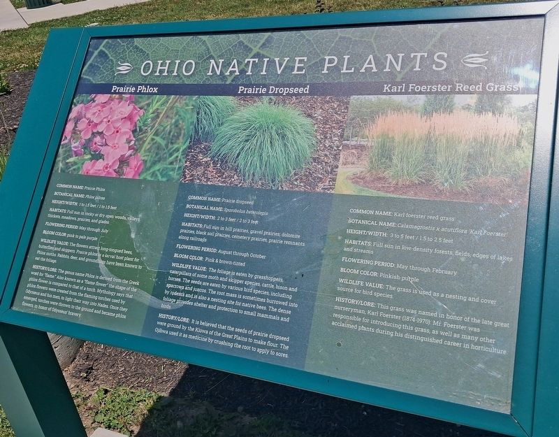 Ohio Native Plants Marker image. Click for full size.