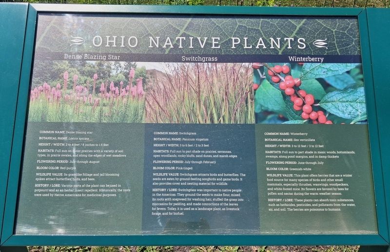 Ohio Native Plants Marker image. Click for full size.