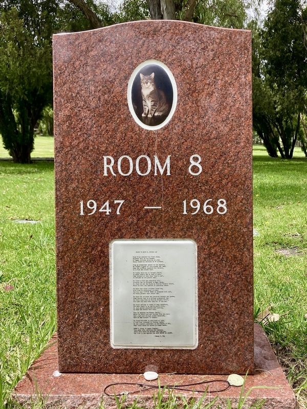 Room 8. Click for full size. Room 8 image. Click for full size.