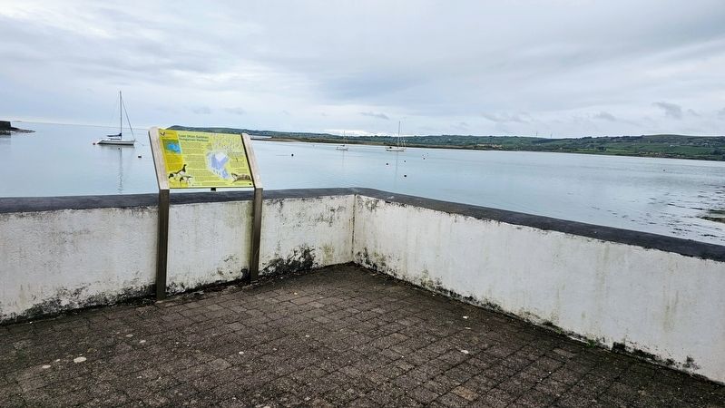 Dungarvan Harbour. Click for full size. Dungarvan Harbour image. Click for full size.