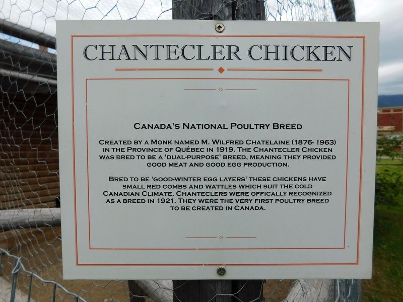 Chantecler Chicken Marker. Click for full size. Chantecler Chicken Marker image. Click for full size.