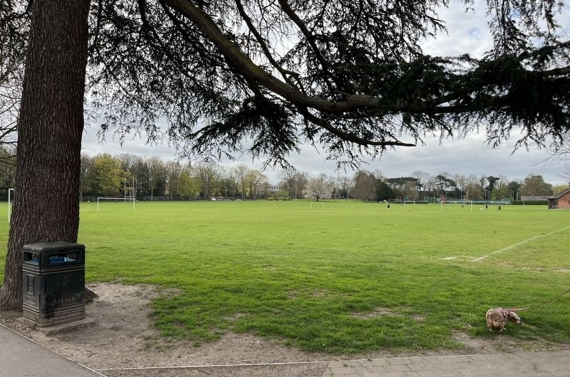 Faversham Recreation Ground image. Click for full size.