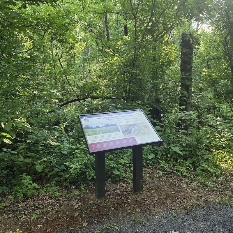 Protecting History and Nature Marker. Click for full size. Protecting History and Nature Marker image. Click for full size.