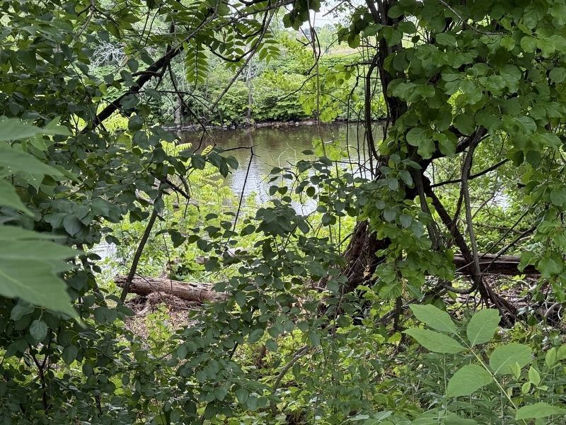 Blackstone River along the Riverwalk image. Click for full size.