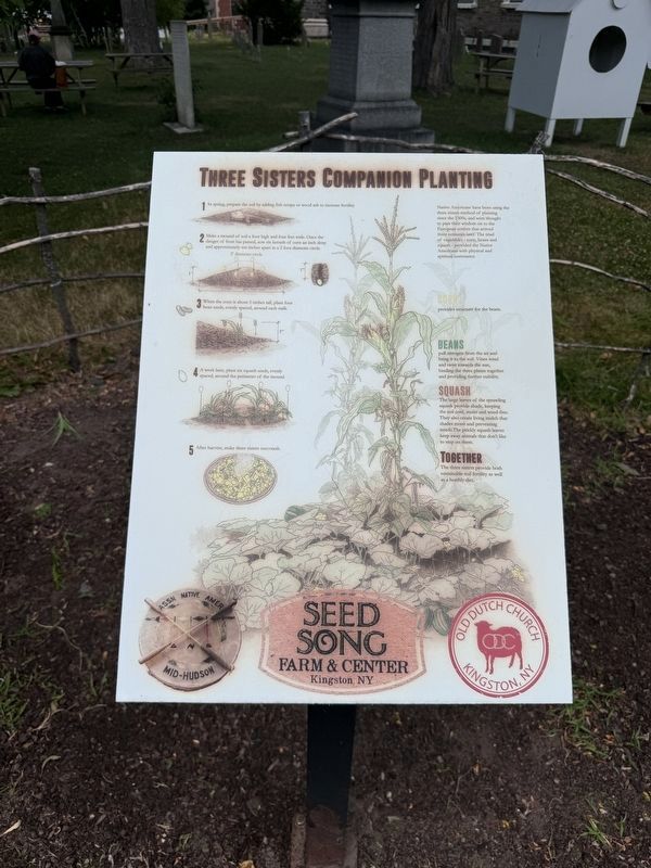 Three Sisters Companion Planting Marker. Click for full size. Three Sisters Companion Planting Marker image. Click for full size.