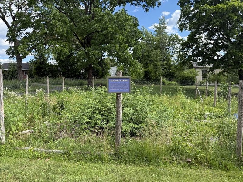 Traditional Plantings Marker image. Click for full size.