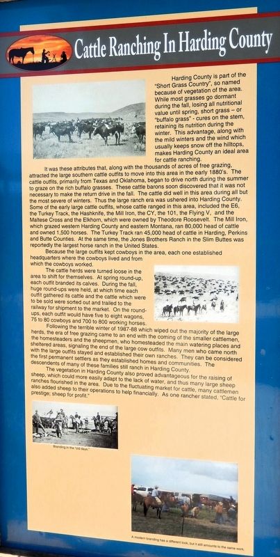 Cattle Ranching in Harding County Marker. Click for full size. Cattle Ranching in Harding County Marker image. Click for full size.