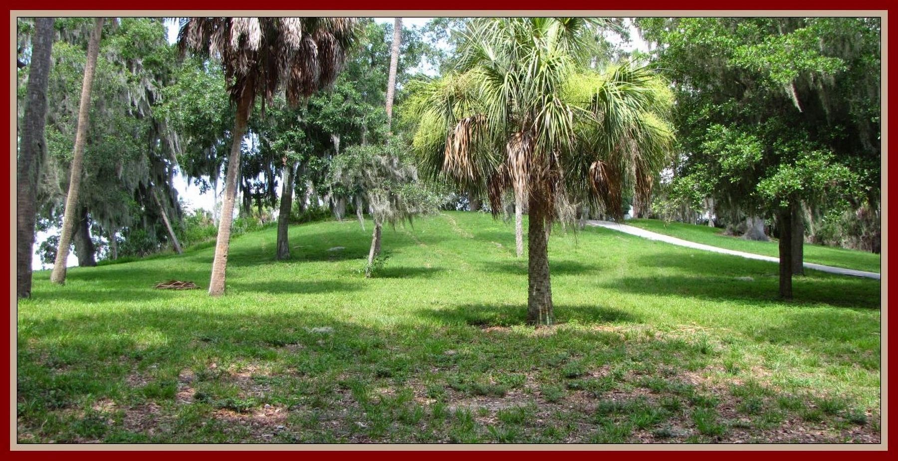 Ceremonial Mound of Tocobaga. Click for full size. Ceremonial Mound of Tocobaga image. Click for full size.