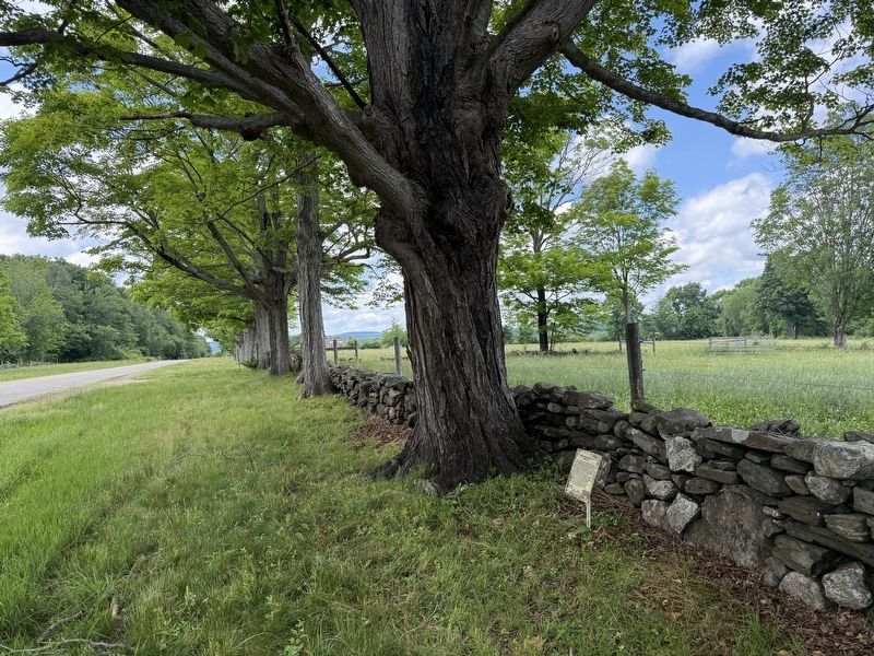 Thomas and Mary Millett�s Home Site Marker image. Click for full size.