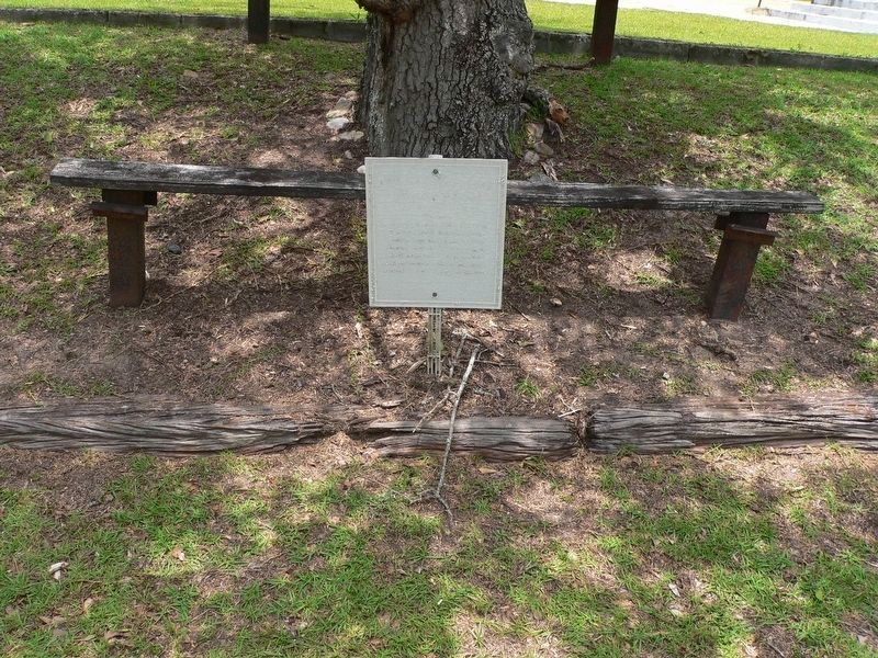 Shiloh Missionary Baptist Church "The Tree" Marker. Click for full size. Shiloh Missionary Baptist Church "The Tree" Marker image. Click for full size.