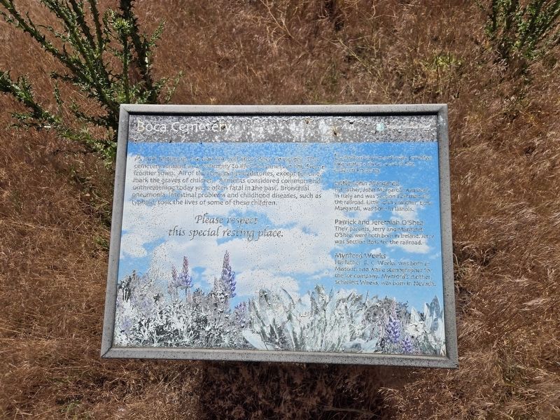 Boca Townsite Marker #5 - Boca Cemetery image. Click for full size.