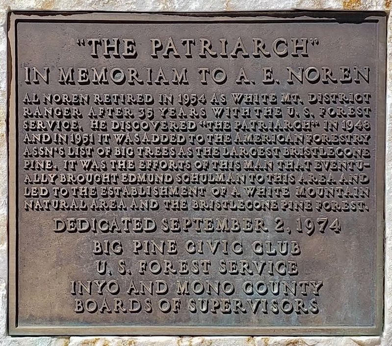 The Patriarch Marker. Click for full size. The Patriarch Marker image. Click for full size.