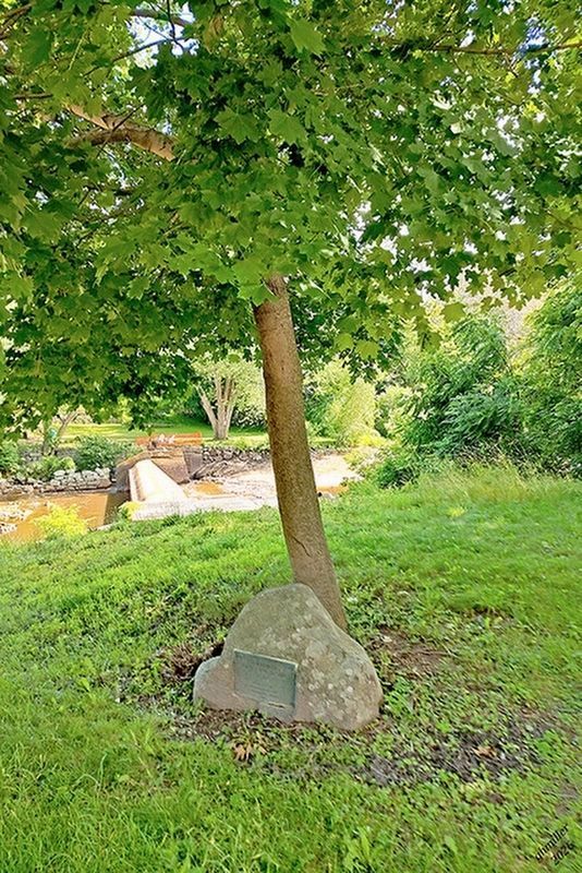 Terminal of Coos Road Marker. Click for full size. Terminal of Coos Road Marker image. Click for full size.