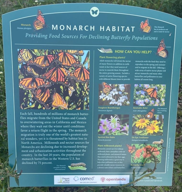 Monarch Habitat Marker image. Click for full size.