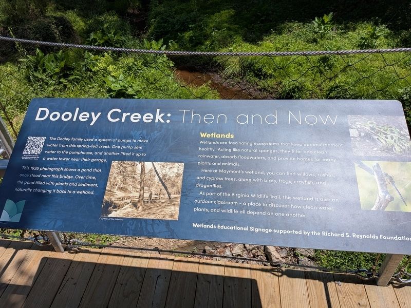 Dooley Creek: Then and Now Marker image. Click for full size.