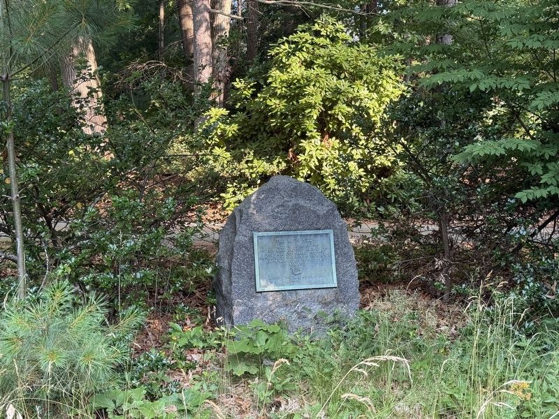 Tea Rock Hill Marker. Click for full size. Tea Rock Hill Marker image. Click for full size.