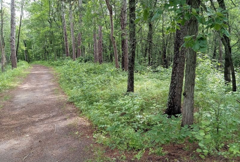 Site of the possible rifle pits, just north of the marker. Click for full size. Site of the possible rifle pits, just north of the marker image. Click for full size.