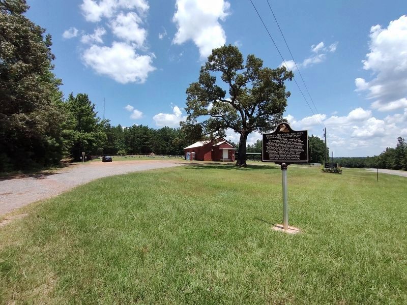 Driskill Mountain - 535 Feet Marker. Click for full size. Driskill Mountain - 535 Feet Marker image. Click for full size.