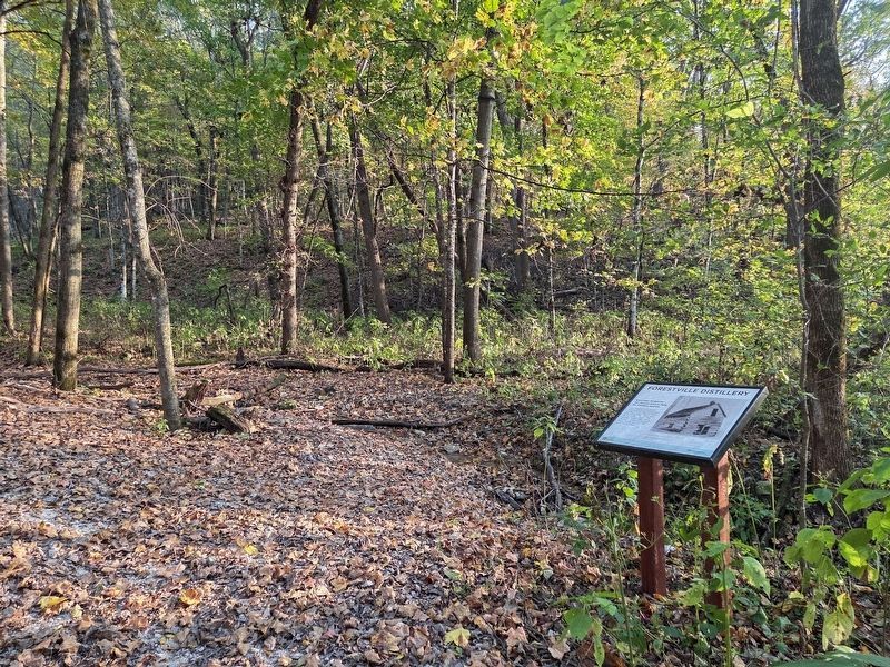 Forestville Distillery Marker in Forestville/Mystery Cave State Park. Click for full size. Forestville Distillery Marker in Forestville/Mystery Cave State Park image. Click for full size.