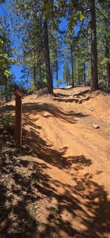 Truckee Trail - Camel�s Hump Marker image. Click for full size.