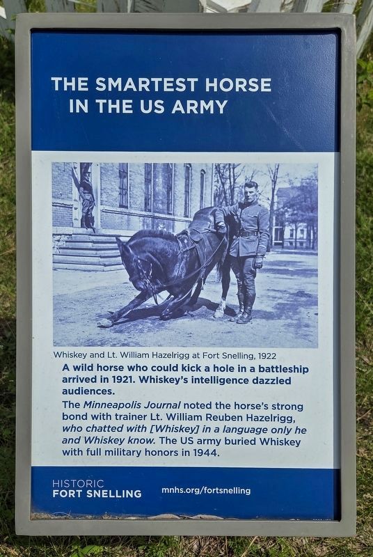 The Smartest Horse in the US Army Marker. Click for full size. The Smartest Horse in the US Army Marker image. Click for full size.