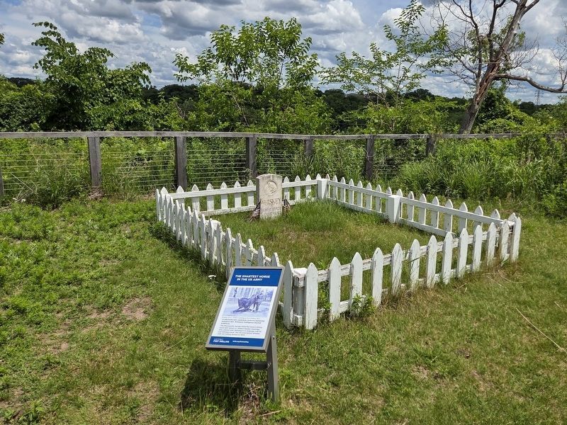 The Smartest Horse in the US Army Marker and Whiskey's grave. Click for full size. The Smartest Horse in the US Army Marker and Whiskey's grave image. Click for full size.