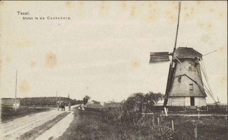 Windmill - De Cocksdorp, looking north on what is now Molenlaan image. Click for full size.