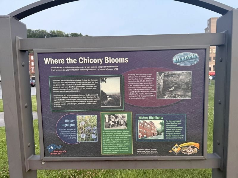 Where the Chicory Blooms Marker. Click for full size. Where the Chicory Blooms Marker image. Click for full size.