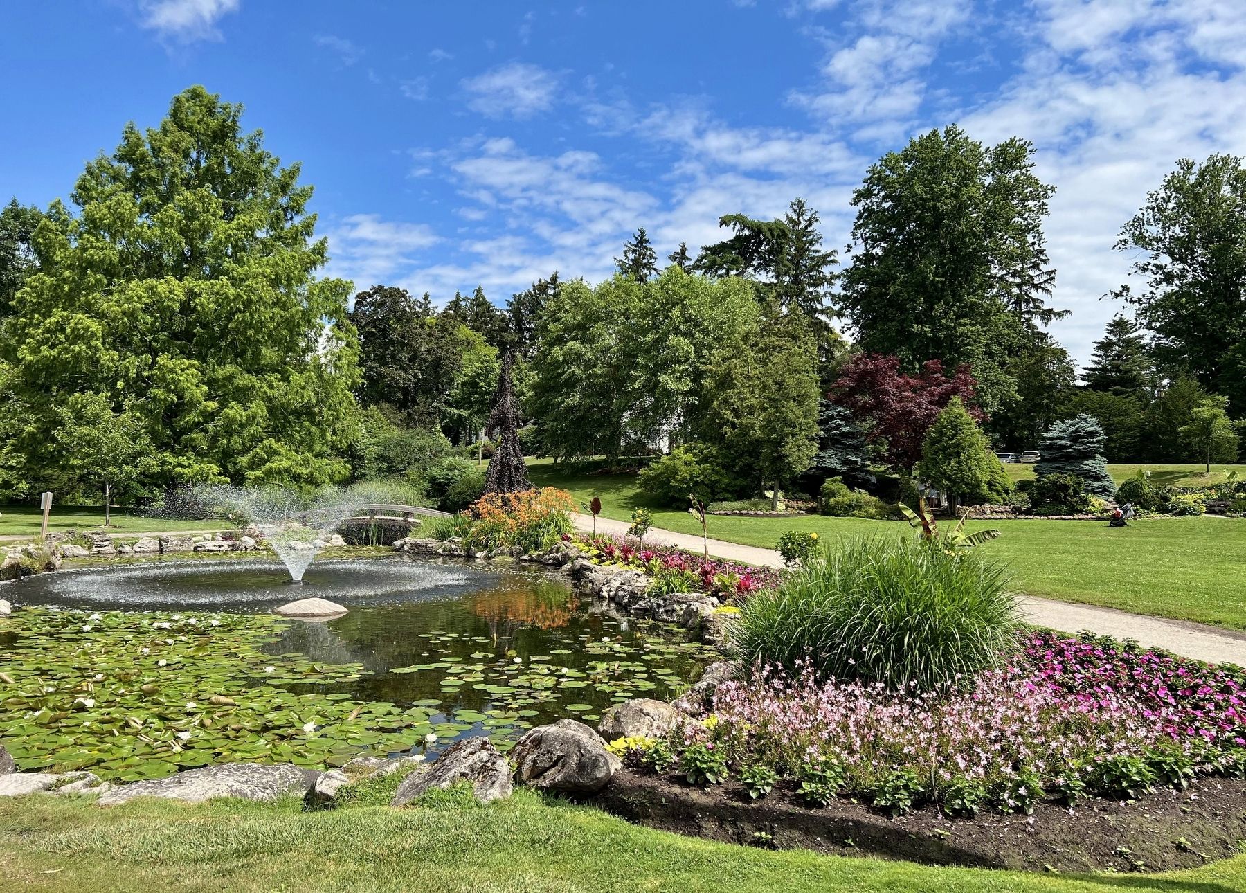 Gairloch Gardens in 2026. Click for full size. Gairloch Gardens in 2026 image. Click for full size.