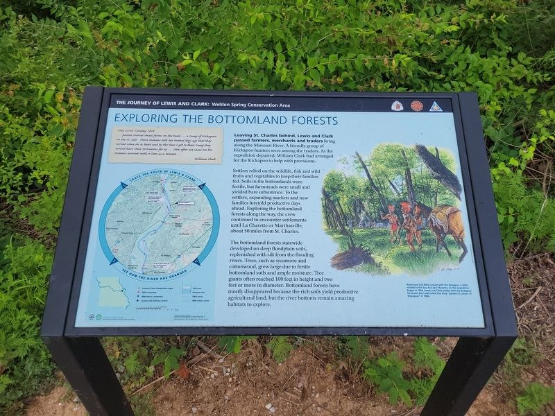 Exploring the Bottomland Forests Marker. Click for full size. Exploring the Bottomland Forests Marker image. Click for full size.