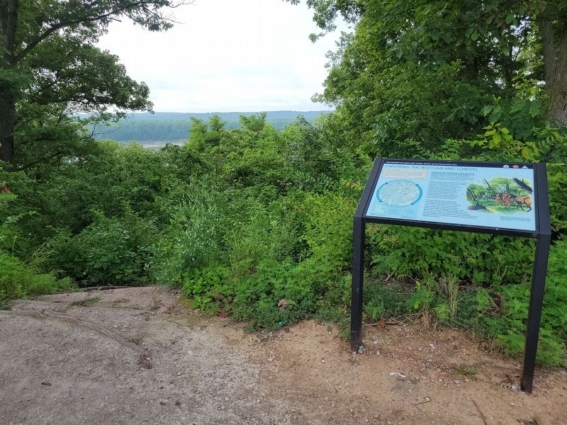 Exploring the Bottomland Forests Marker. Click for full size. Exploring the Bottomland Forests Marker image. Click for full size.