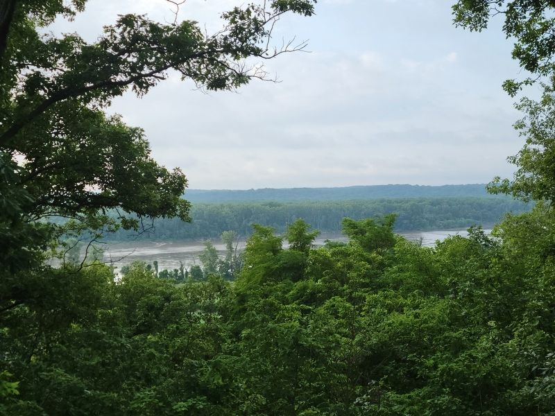Exploring the Bottomland Forests Marker. Click for full size. Exploring the Bottomland Forests Marker image. Click for full size.
