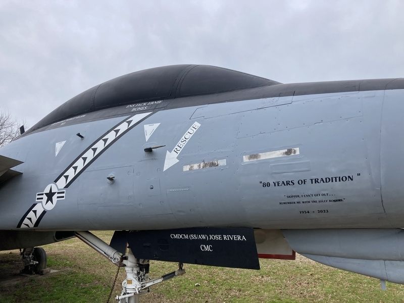 Grumman F-14 Tomcat Markings Detail. Click for full size. Grumman F-14 Tomcat Markings Detail image. Click for full size.