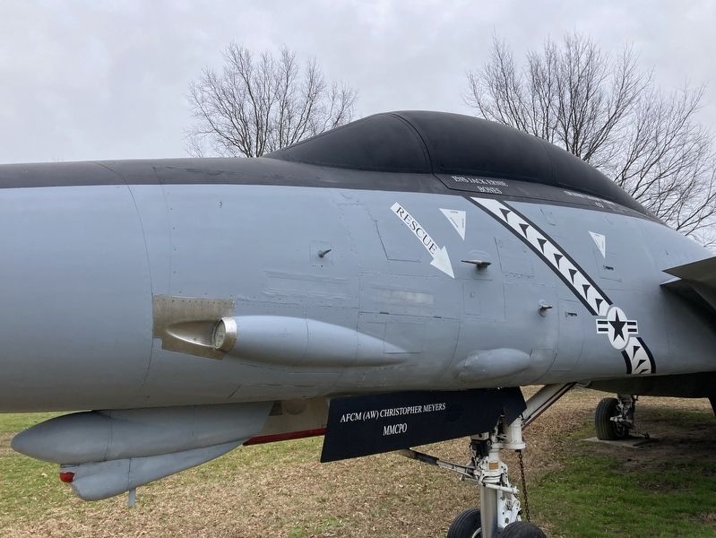 Grumman F-14 Tomcat Markings Detail. Click for full size. Grumman F-14 Tomcat Markings Detail image. Click for full size.